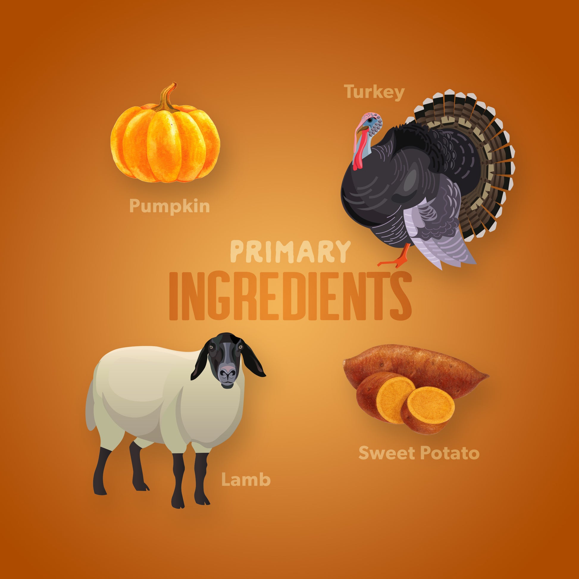 Grass Fed Lamb & Turkey
