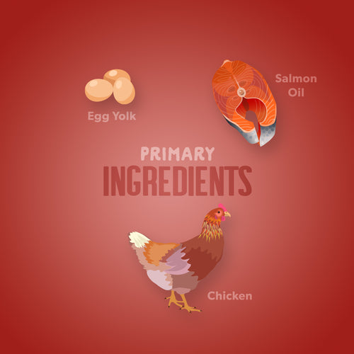 Free Range Chicken Cookies